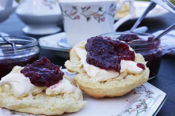 Enjoy a Devon cream tea at Forda farm B&B when you arrive as guests, near Holsworthy and Bude.